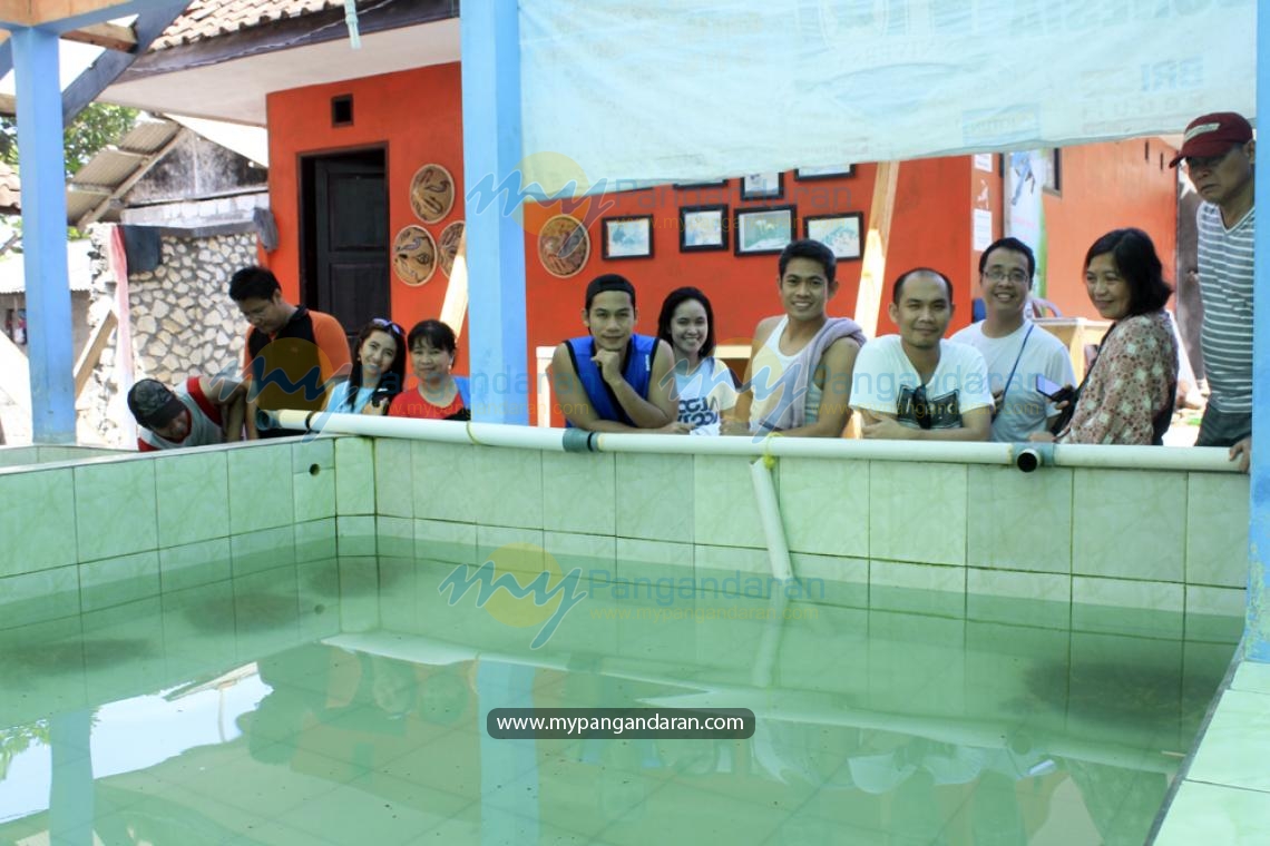 Bina Bangsa School Jakarta at Turtle Conservation