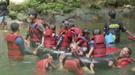 MAXXI AGRI INDONESIA