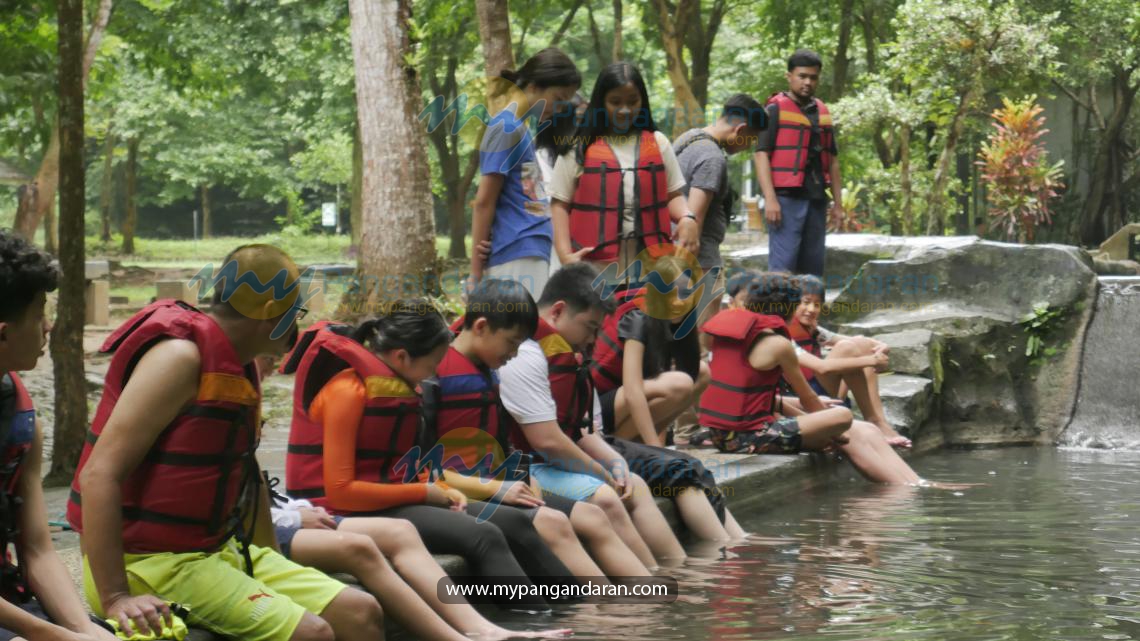 MUTIARA NUSANTARA INTERNATIONAL SCHOOL