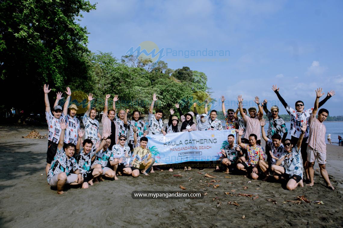 PLN INDONESIA
