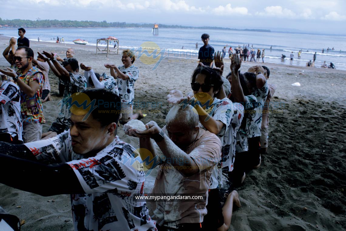 PLN INDONESIA