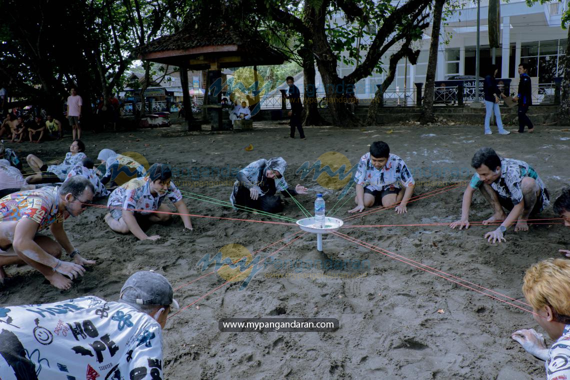 PLN INDONESIA