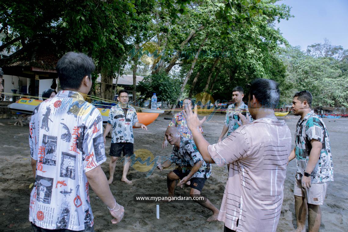 PLN INDONESIA