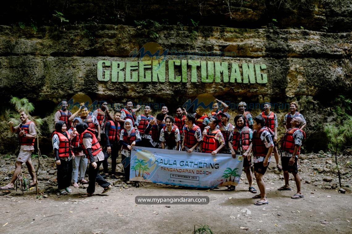 PLN INDONESIA