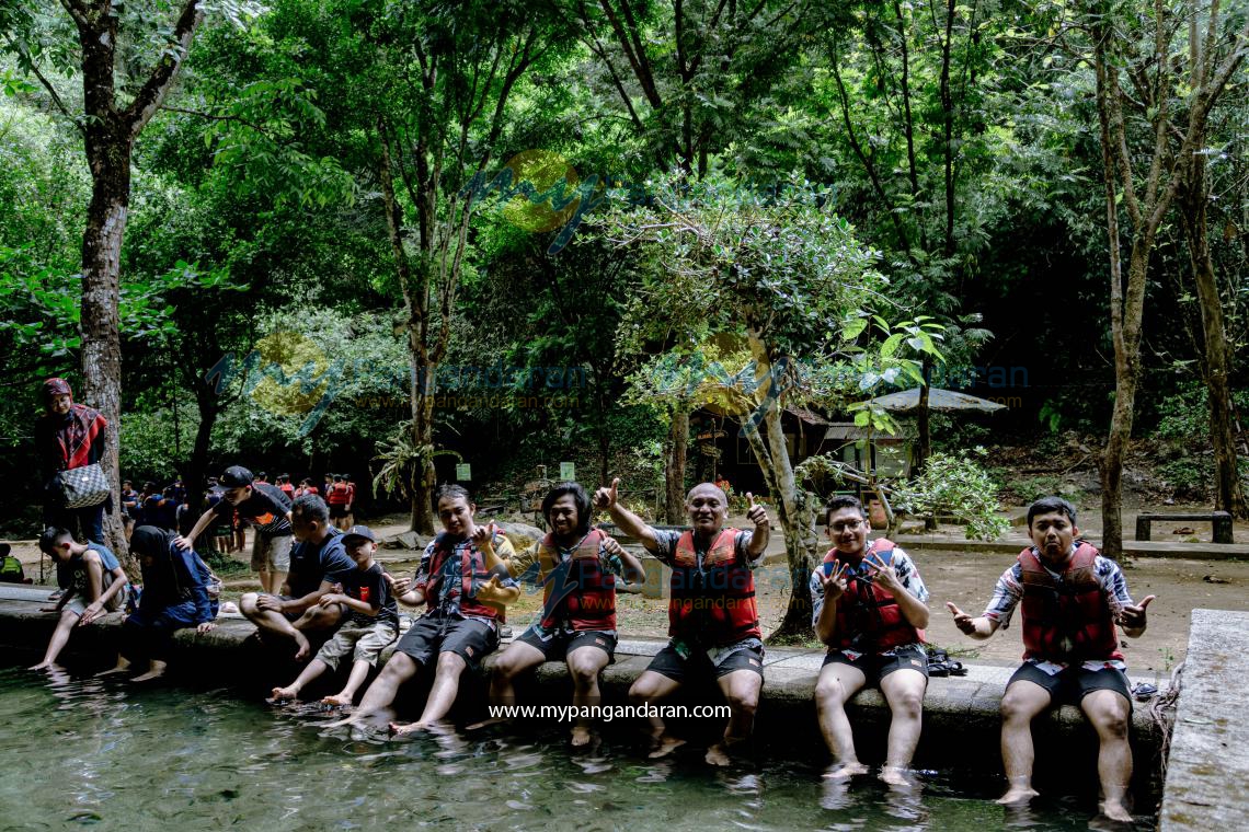 PLN INDONESIA