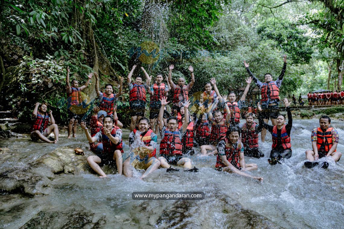 PLN INDONESIA