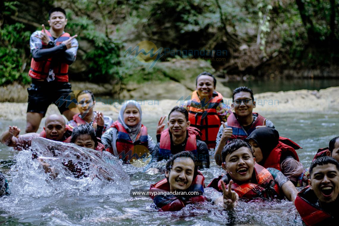PLN INDONESIA